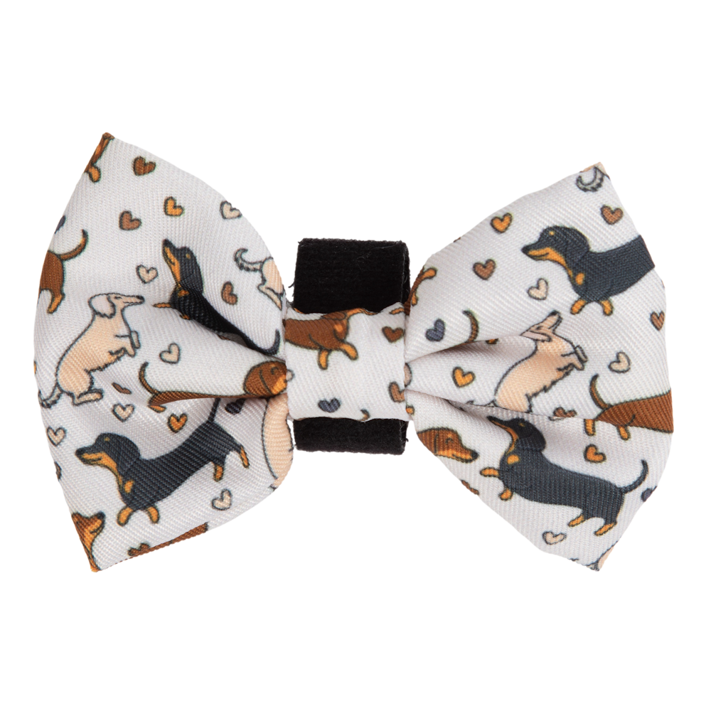 Big & Little Dogs Dashie Lovers Collar & Bow Tie