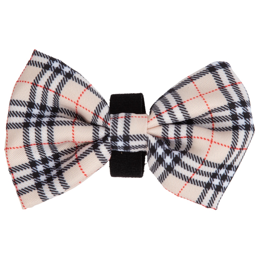 Big & Little Dogs Nova Plaid Collar & Bow Tie