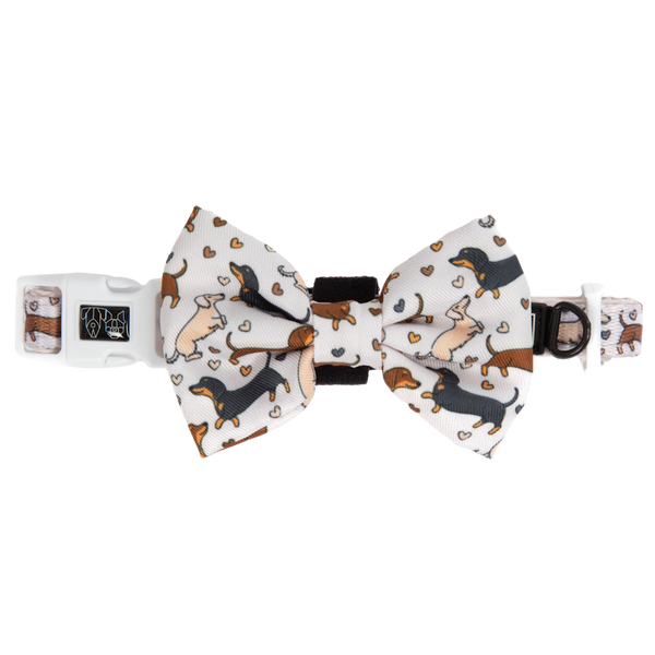 Big & Little Dogs Dashie Lovers Collar & Bow Tie