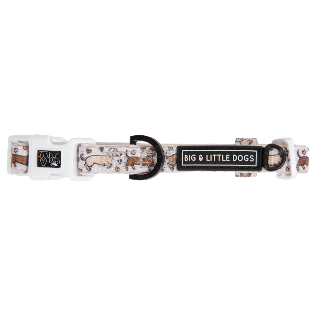 Big & Little Dogs Dashie Lovers Collar & Bow Tie