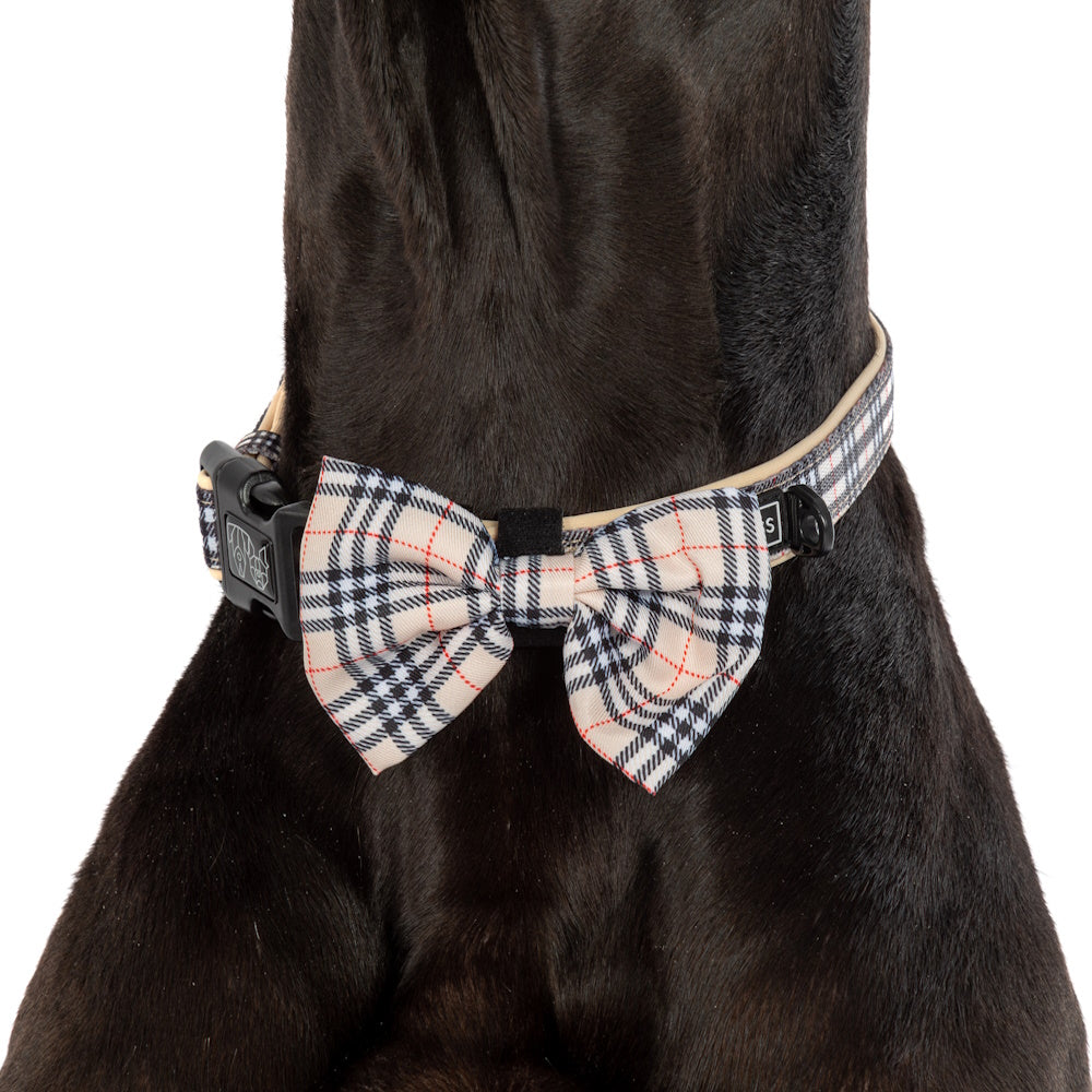 Big & Little Dogs Nova Plaid Collar & Bow Tie