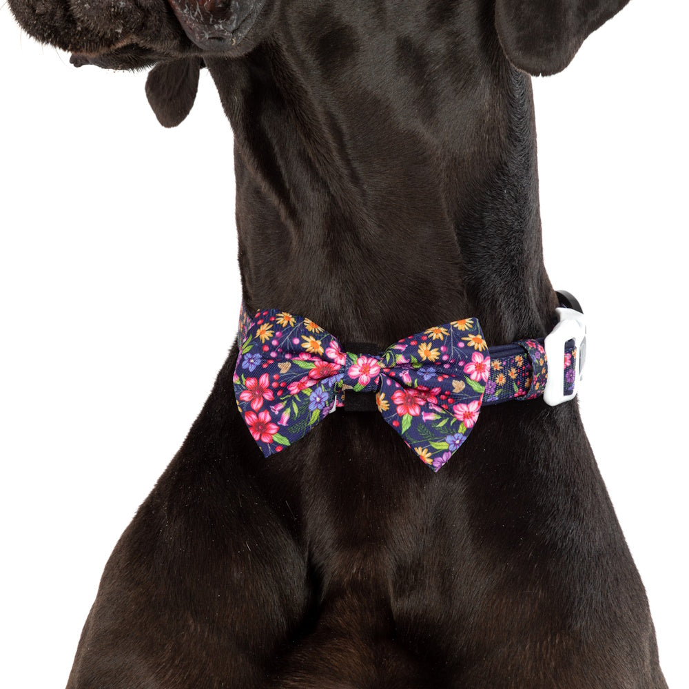 Big & Little Dogs Petal Paradise Collar & Bow Tie
