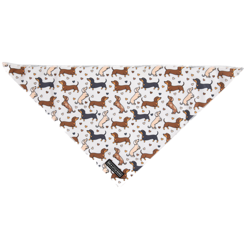 Big & Little Dogs Dashie Lovers Bandana