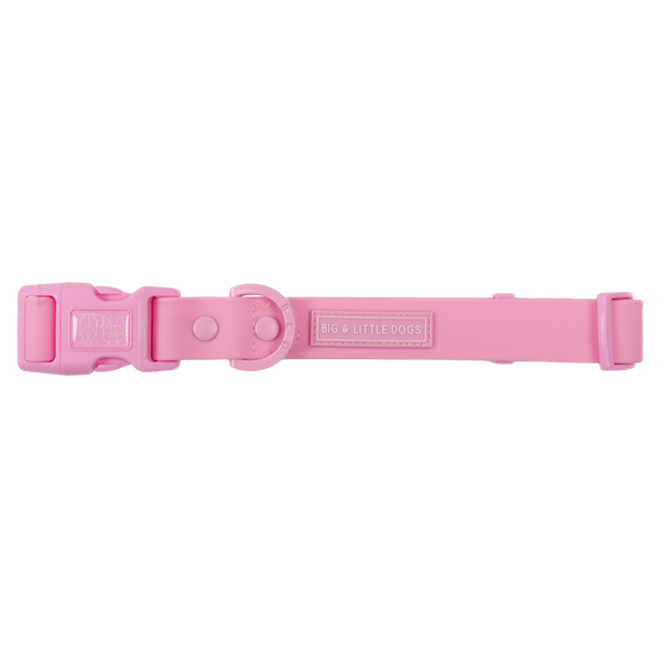 Big & Little Dogs Waterproof Dog Collar - Pink