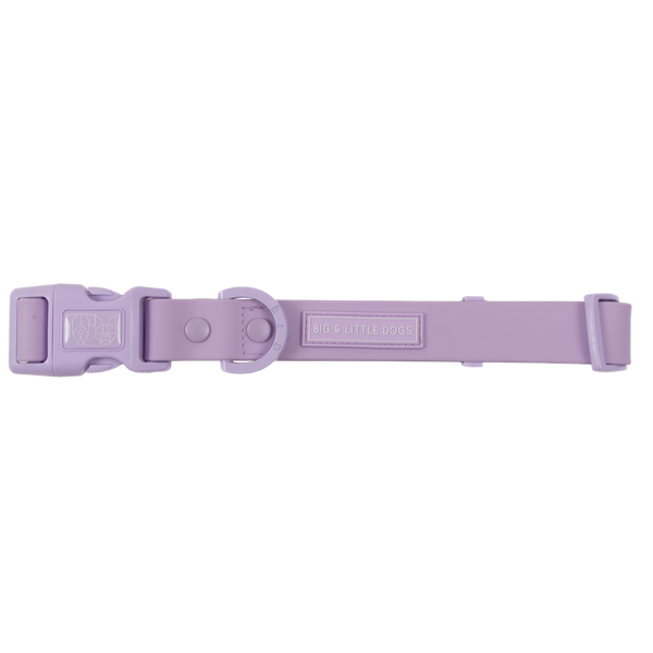 Big & Little Dogs Waterproof Dog Collar - Purple