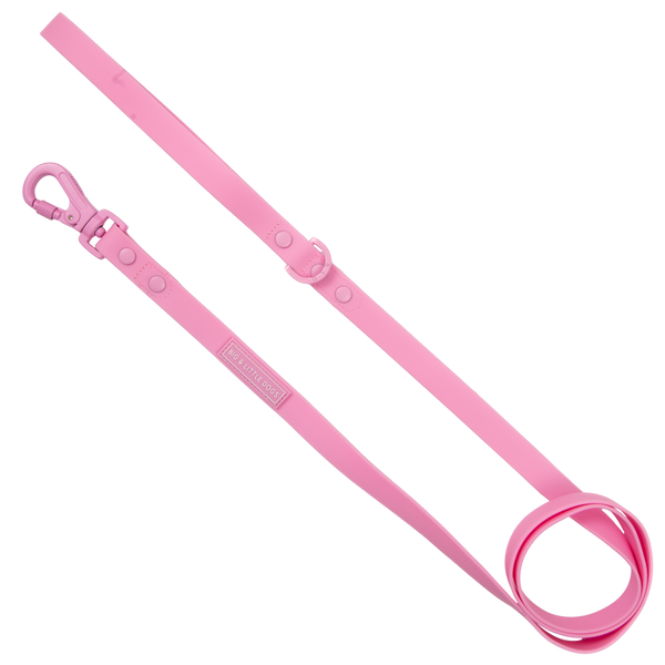 Big & Little Dogs Waterproof Leash - Pink