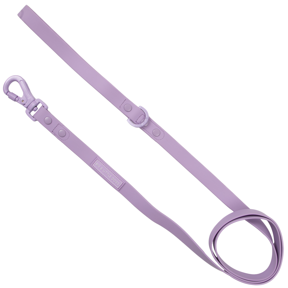 Big & Little Dogs Waterproof Leash - Purple