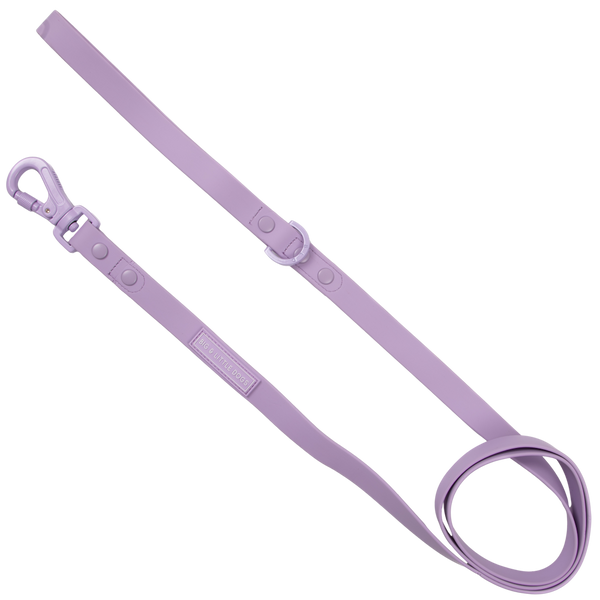 Big & Little Dogs Waterproof Leash - Purple