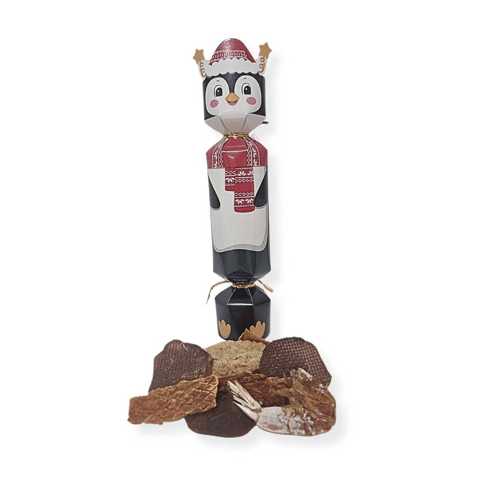 Dog Christmas Crackers