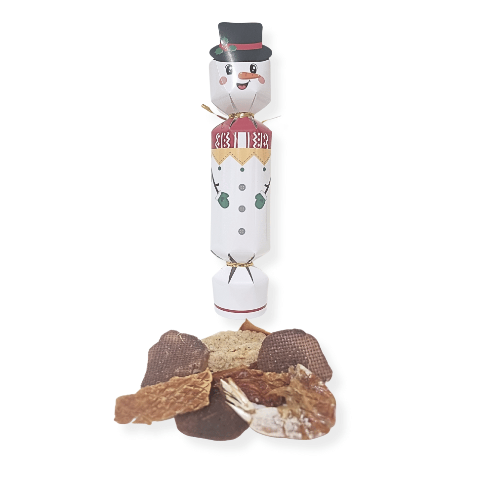 Dog Christmas Crackers