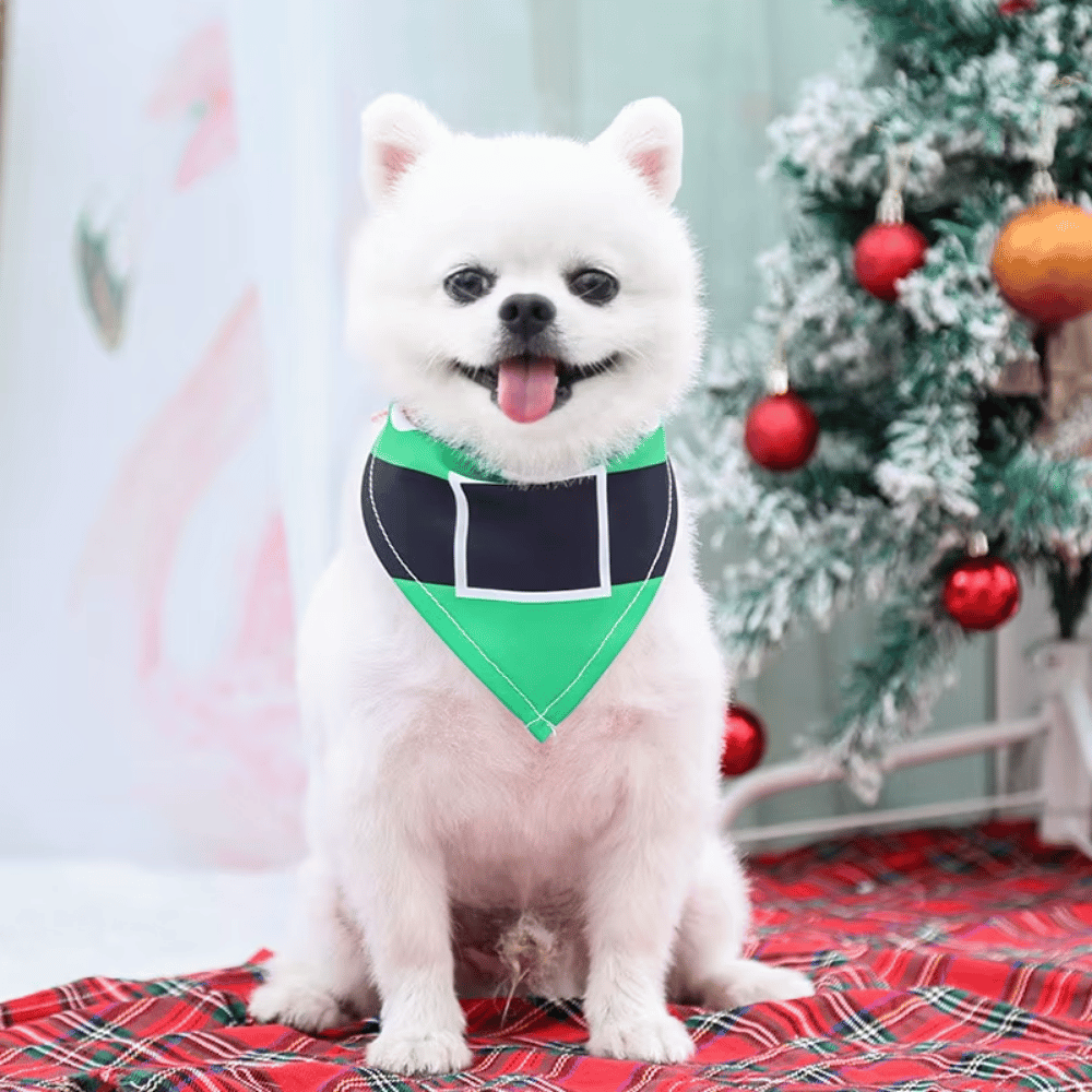 Elf Dog Bandana