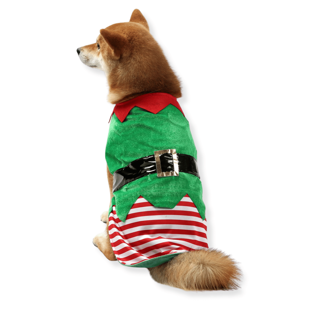Elf Dog Costume