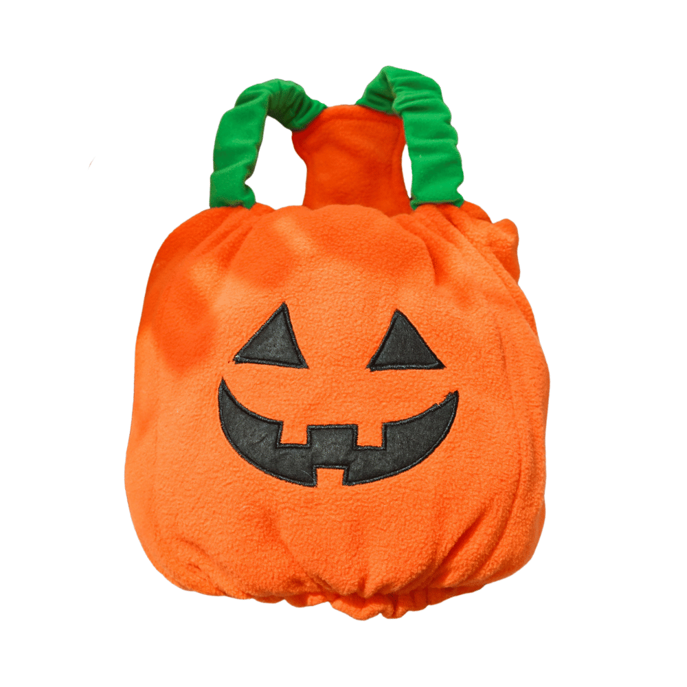 Halloween Pumpkin Dog Costume