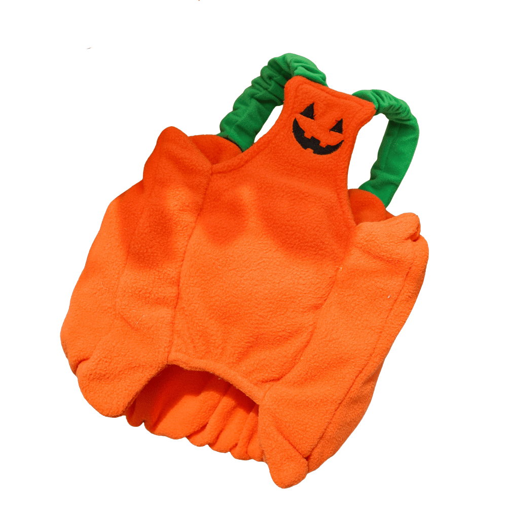 Halloween Pumpkin Dog Costume