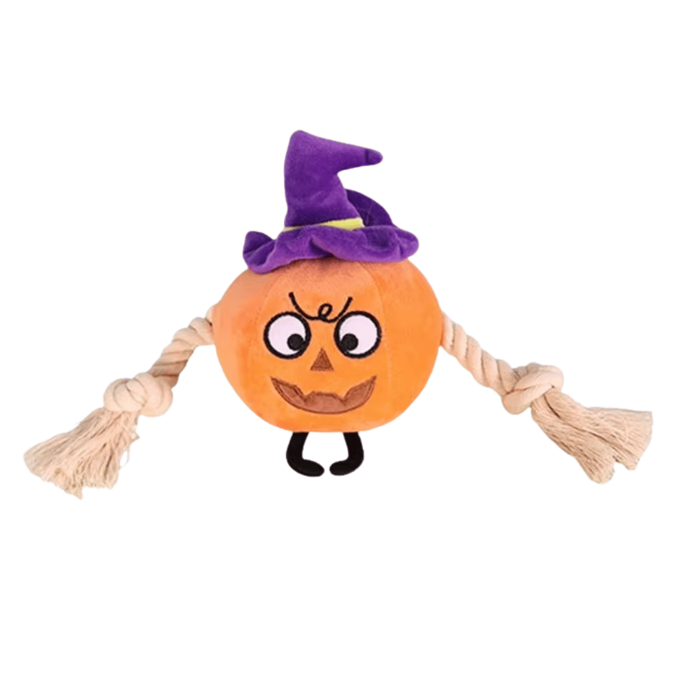 Witchy Pumpkin Rope Plush Dog Toy