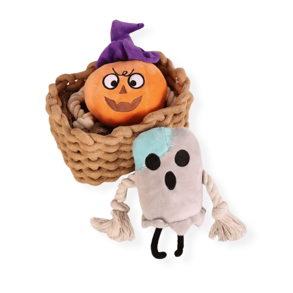 Witchy Pumpkin Rope Plush Dog Toy