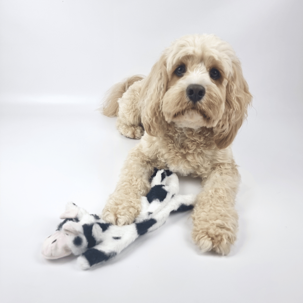 Floppy Cow Plush Dog Toy