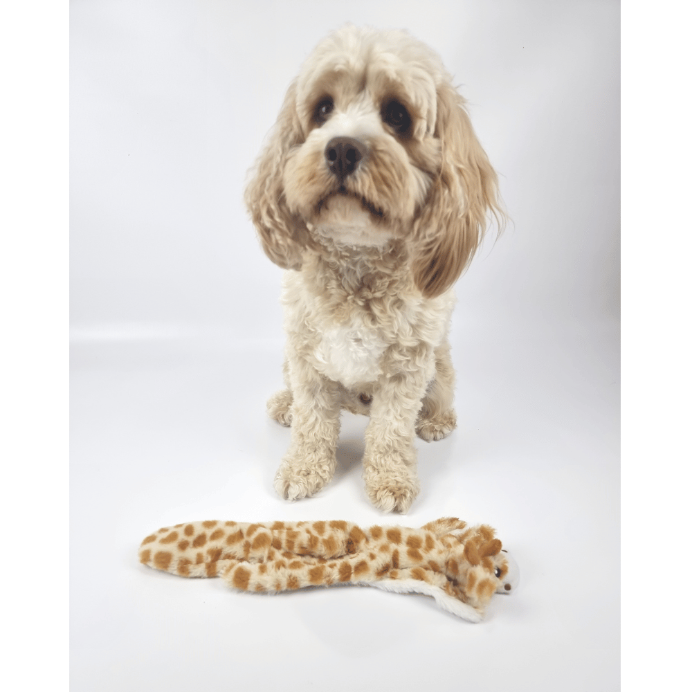 Floppy Giraffe Plush Dog Toy