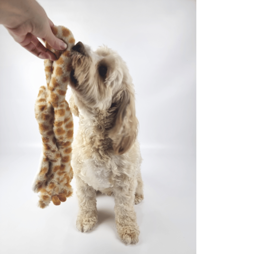 Floppy Giraffe Plush Dog Toy