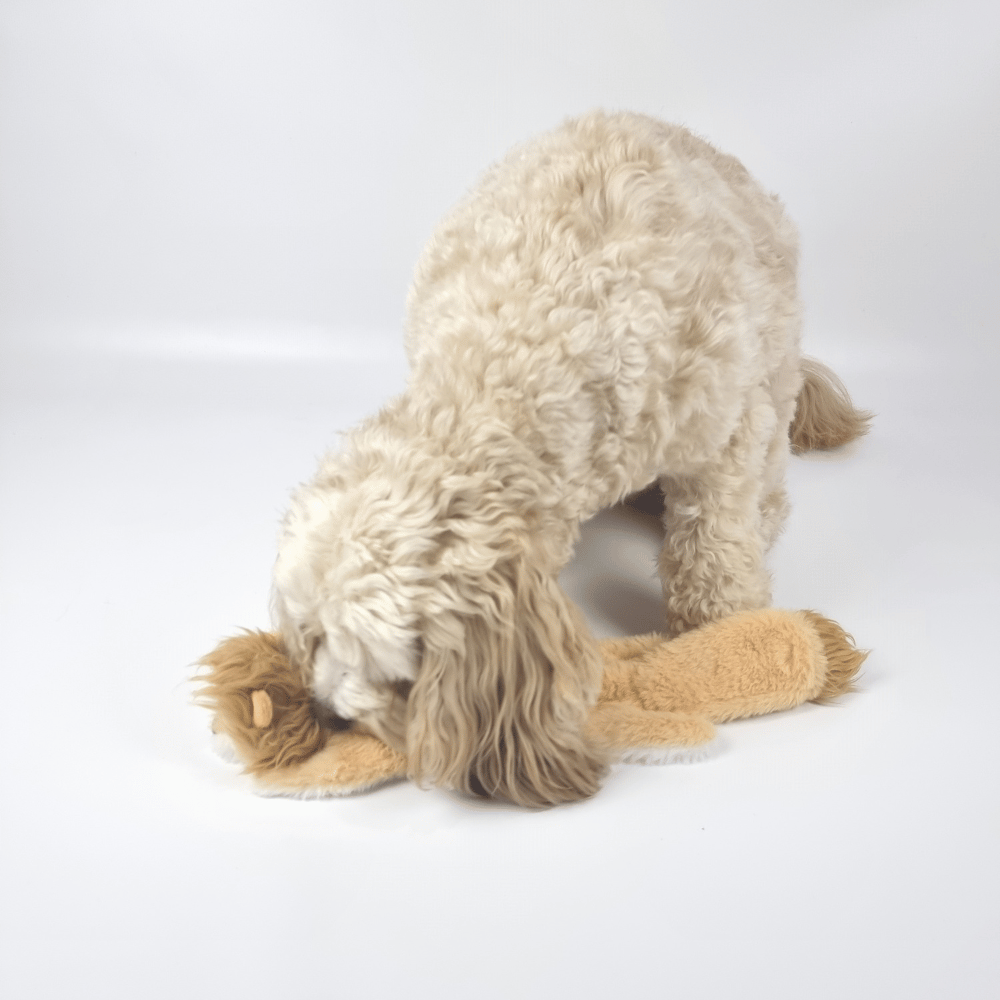 Floppy Lion Plush Dog Toy