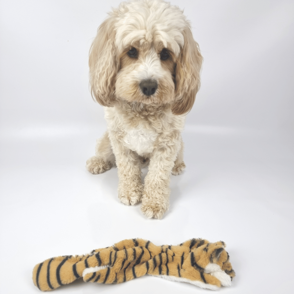 Floppy Tiger Plush Dog Toy