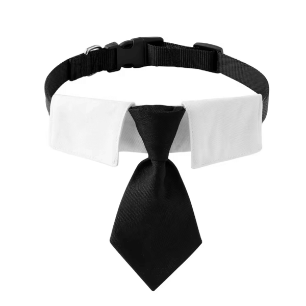 Formal Suit Tie Dog Collar