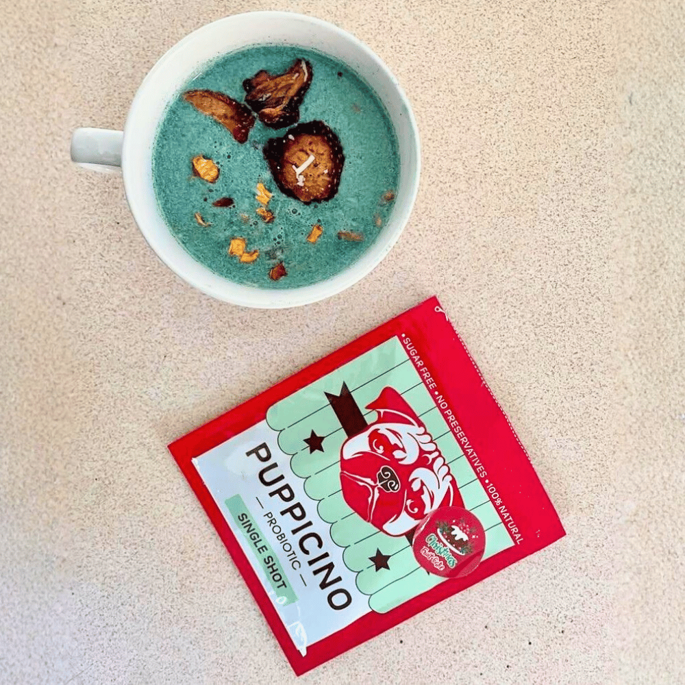 L'Barkery Puppicino Christmas Fruit Cake Shot