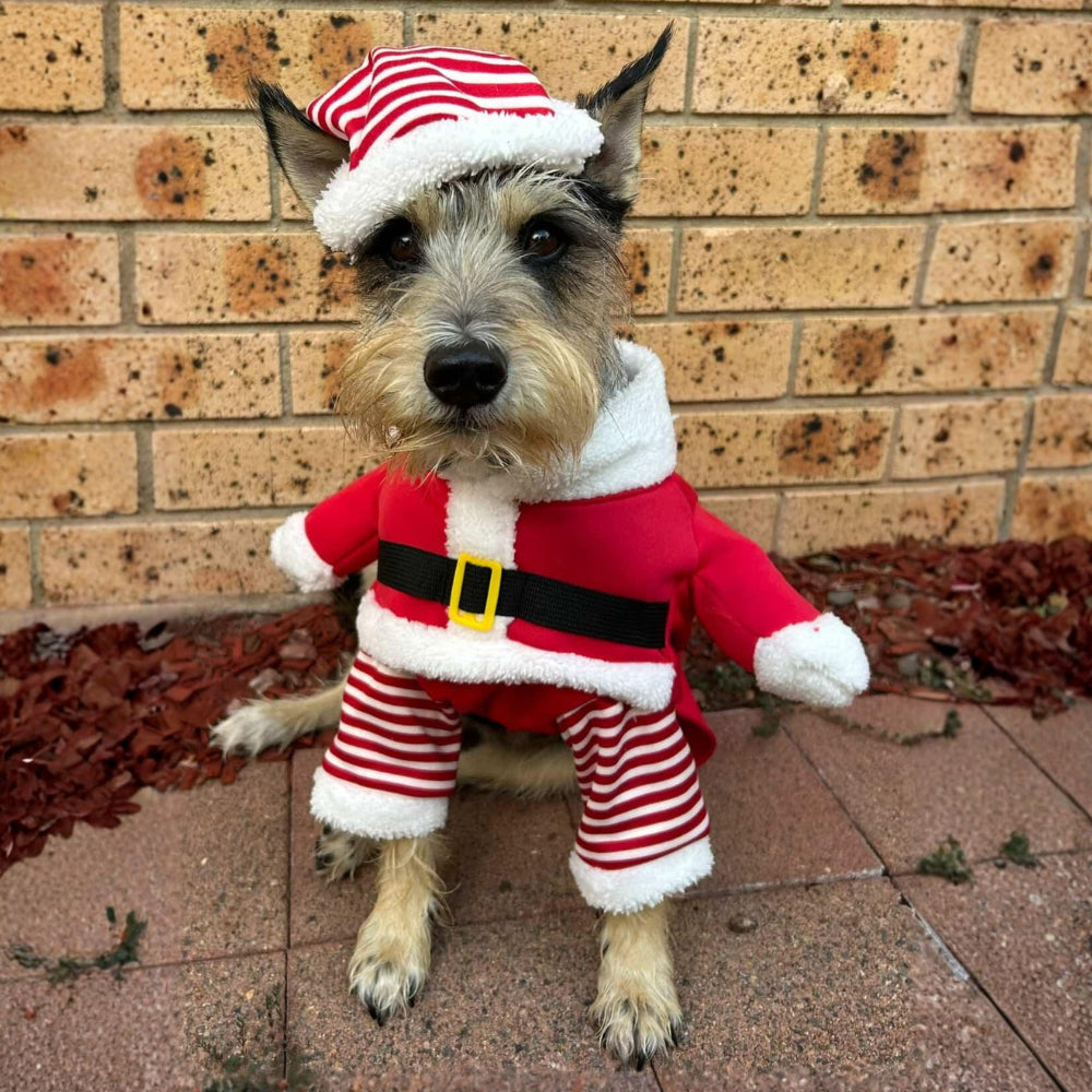 Santa Claus Upright Dog Costume