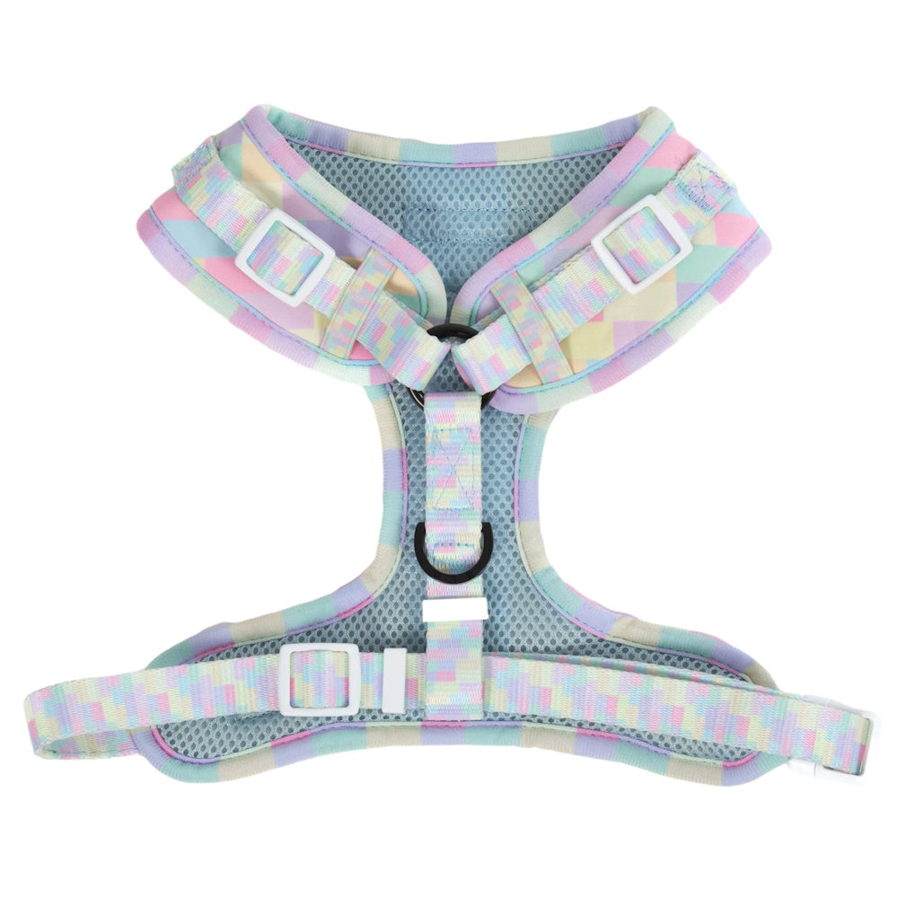 Big & Little Dogs Gelato Adjustable Harness