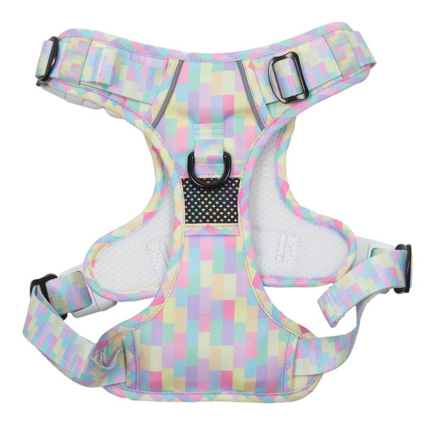 Big & Little Dogs Gelato All Rounder Harness