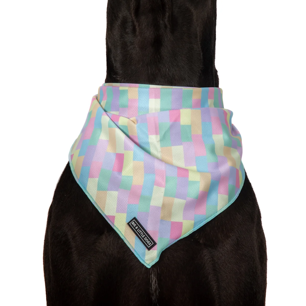 Big & Little Dogs Gelato Bandana