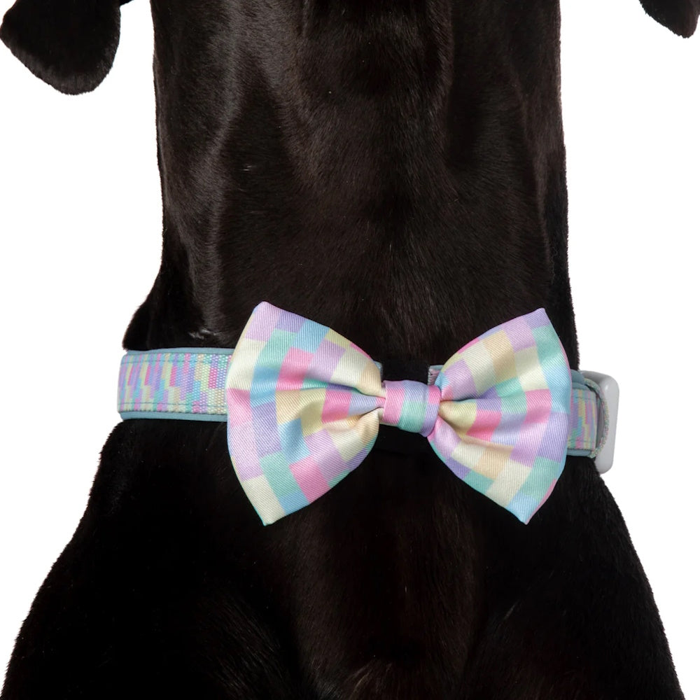 Big & Little Dogs Gelato Collar & Bow Tie