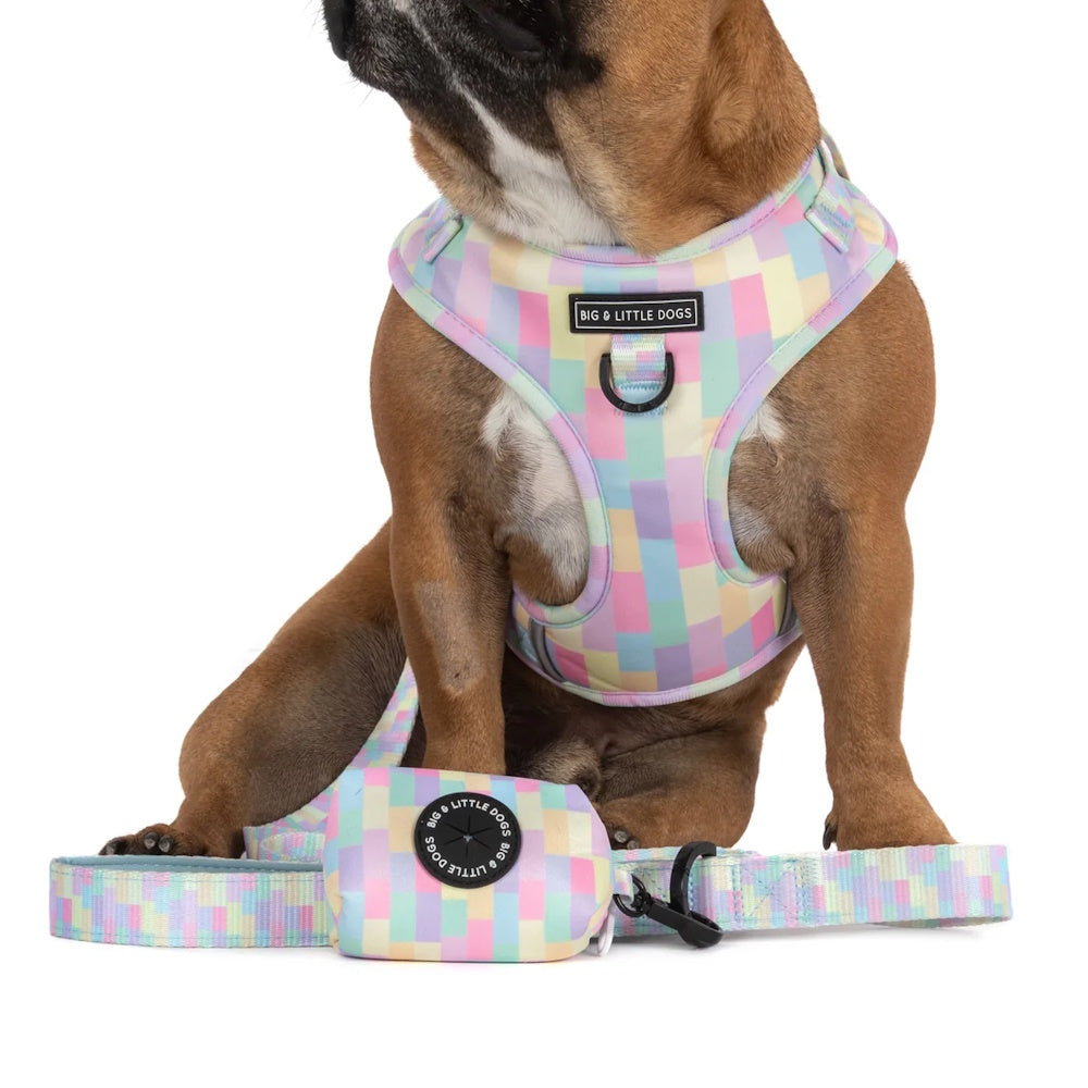 Big & Little Dogs Poop Bag Holder: Gelato