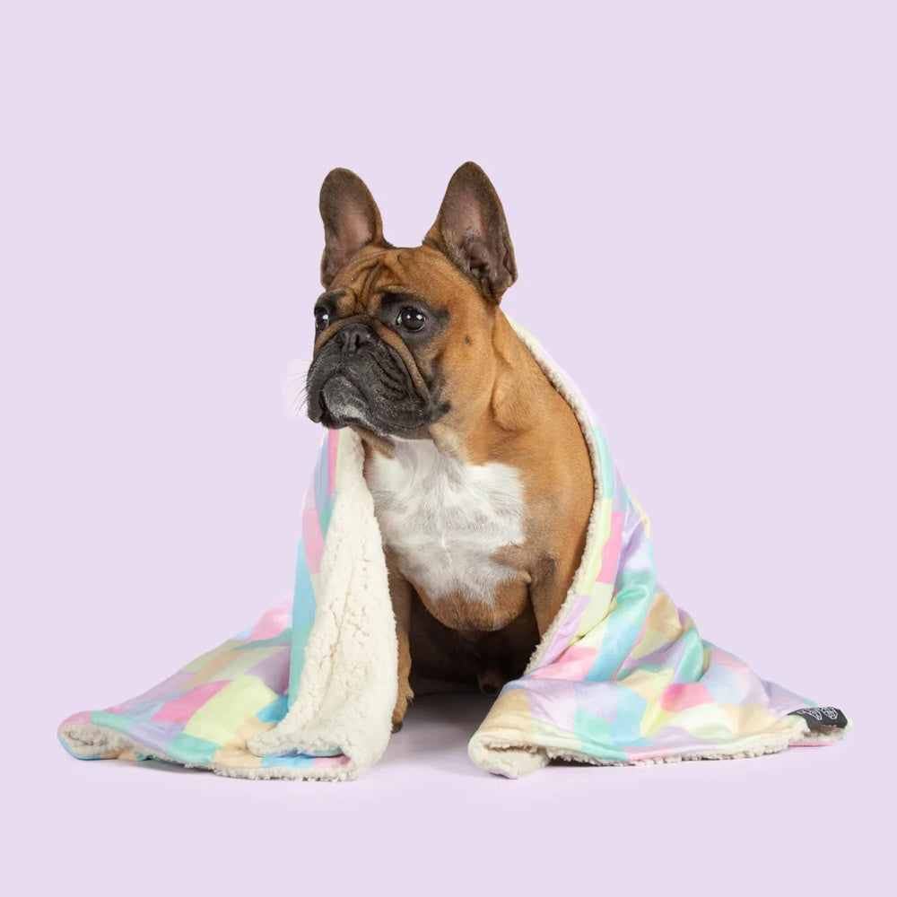 Big & Little Dogs Gelato Plush Pet Blanket