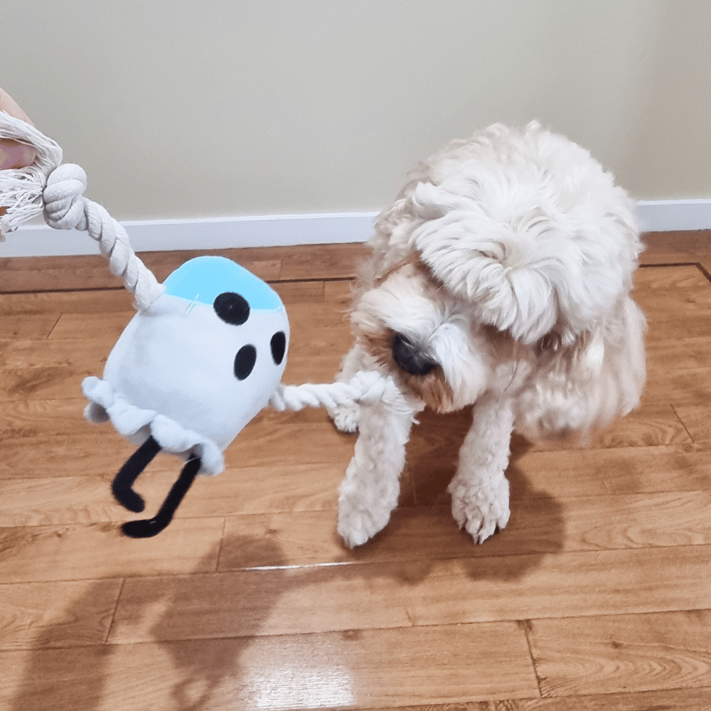 Ghosty Boo Rope Plush Dog Toy
