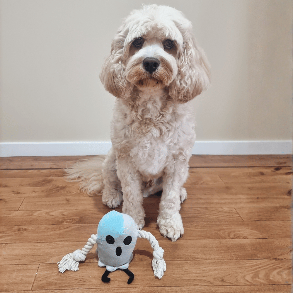 Ghosty Boo Rope Plush Dog Toy