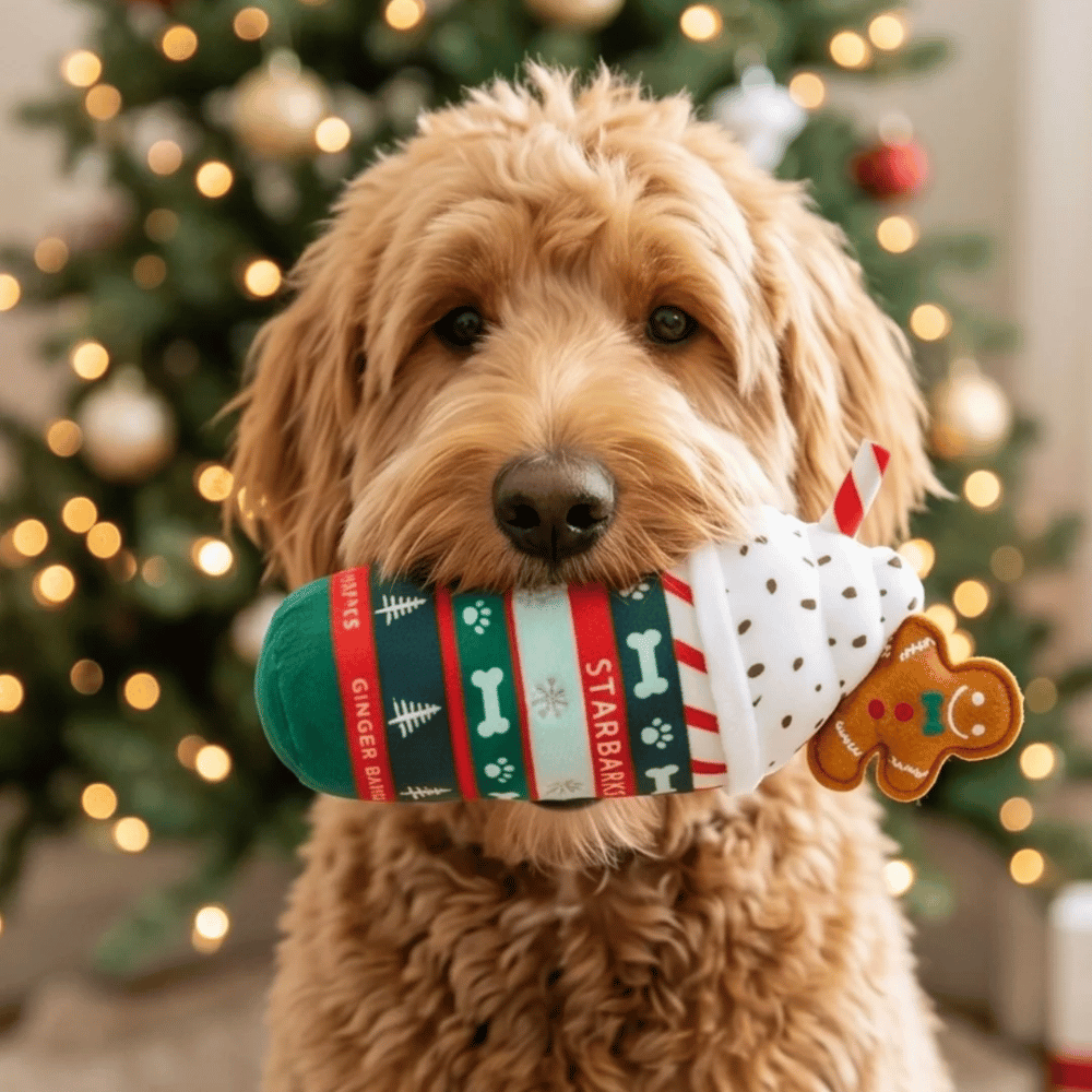 Ginger Bark Latte Christmas Plush Dog Toy