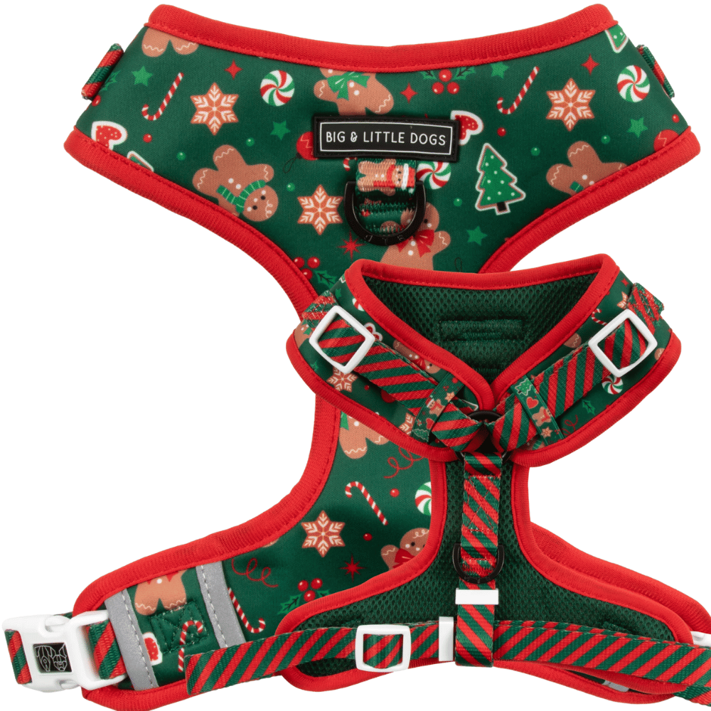 Big & Little Dogs Gingerbread Cutie Adjustable Harness