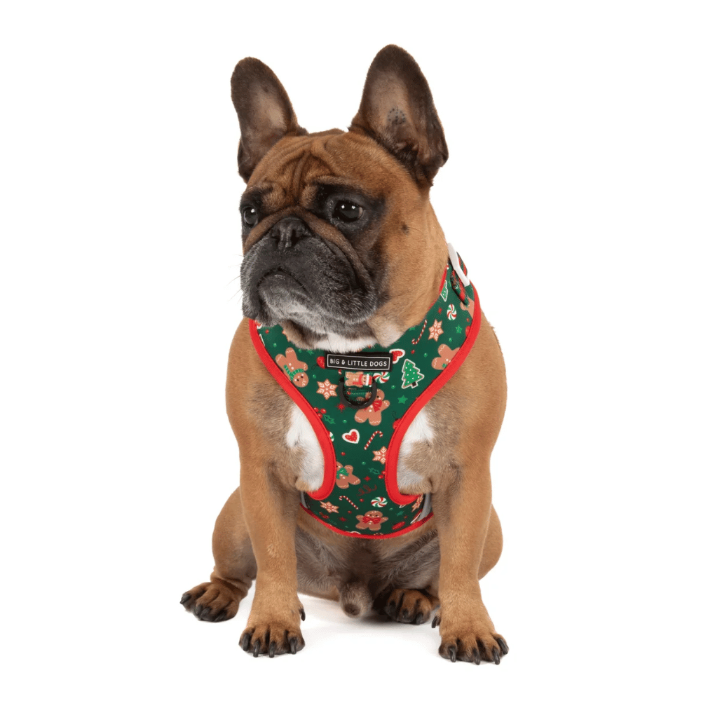 Big & Little Dogs Gingerbread Cutie Adjustable Harness