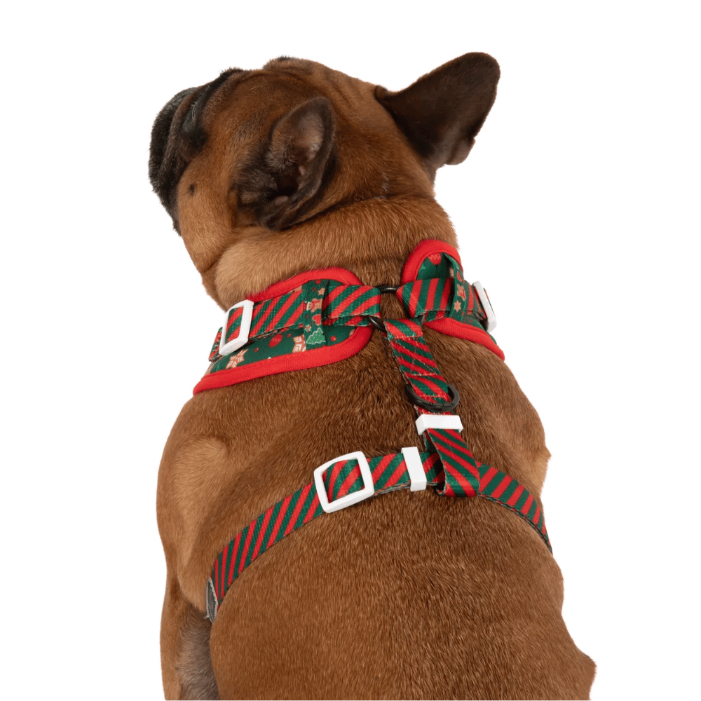 Big & Little Dogs Gingerbread Cutie Adjustable Harness