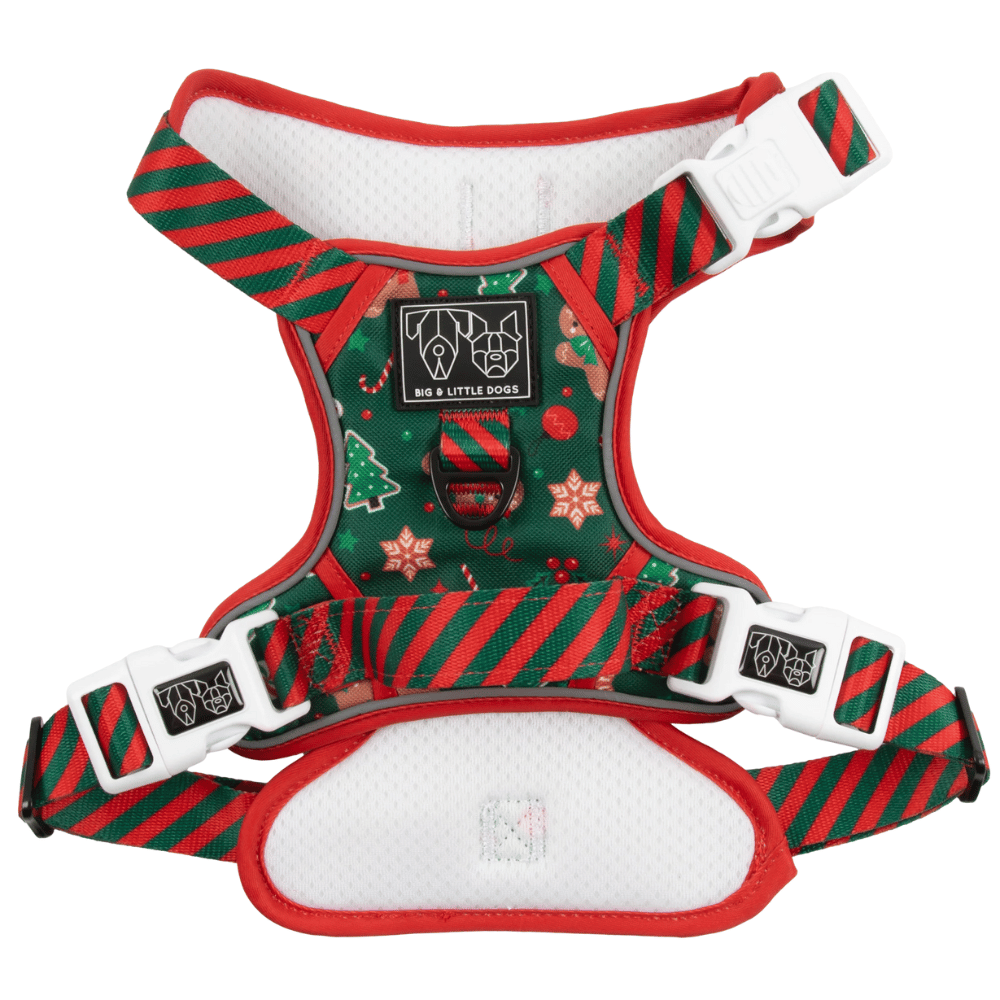 Big & Little Dogs Gingerbread Cutie All Rounder Harness