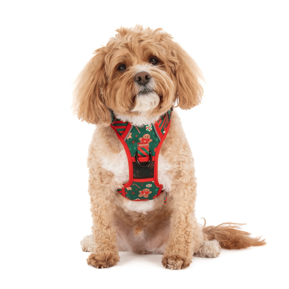 Big & Little Dogs Gingerbread Cutie All Rounder Harness