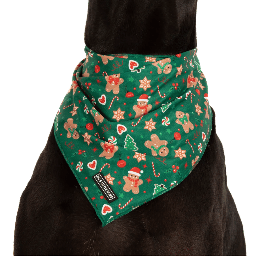 Big & Little Dogs Gingerbread Cutie Dog Bandana