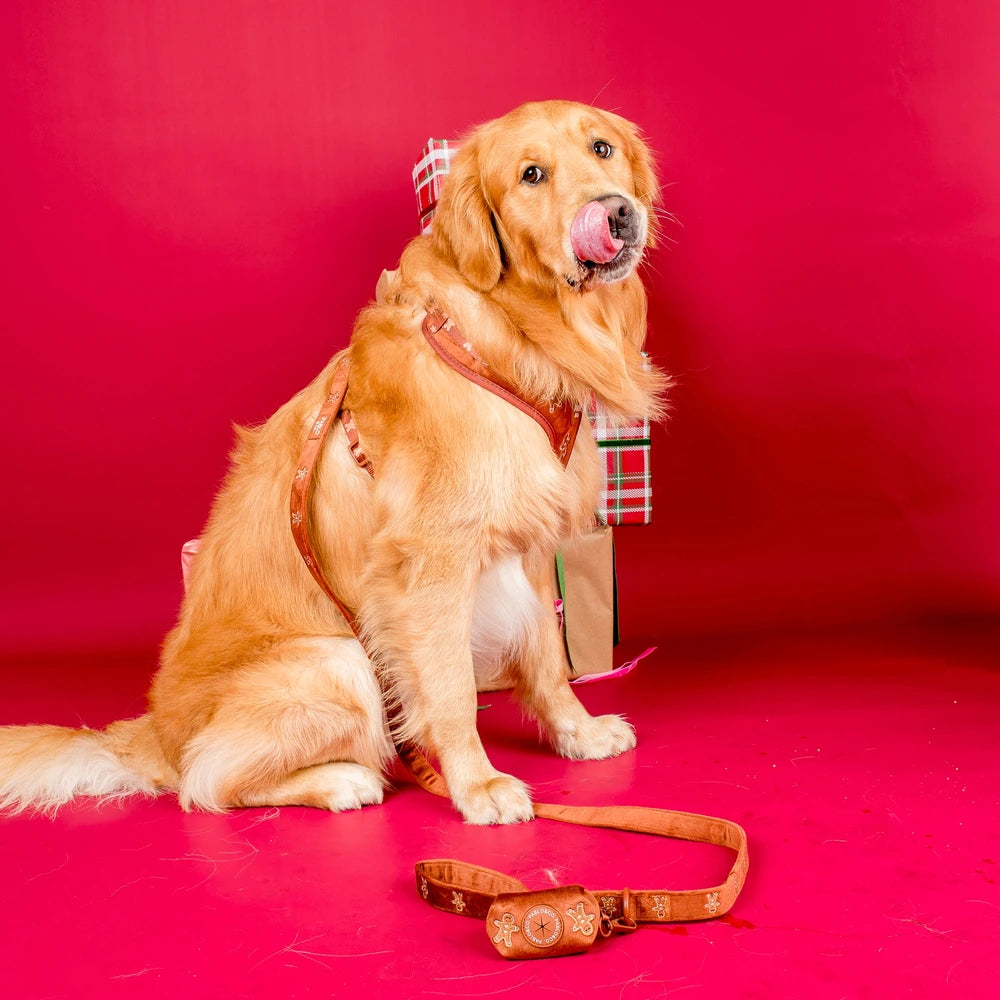 Pablo & Co Gingerbread Poop Bag Holder Velvet