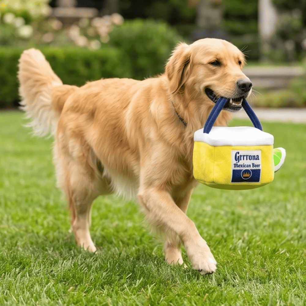 Grrrona Beach Cooler Interactive Toy