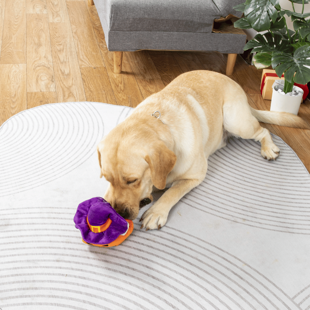 Witchy Pumpkin & Ghosts Burrow Dog Toy