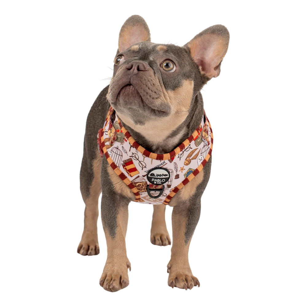Harry potter dog harness hot sale
