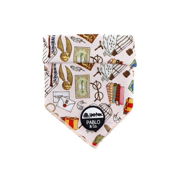 Pablo & Co Harry Potter Dog Bandana