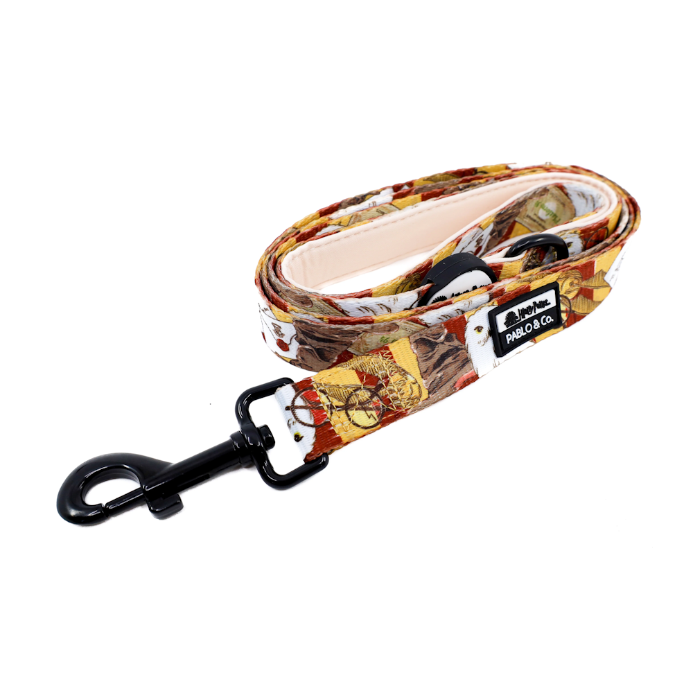 Pablo & Co Harry Potter: Dog Leash