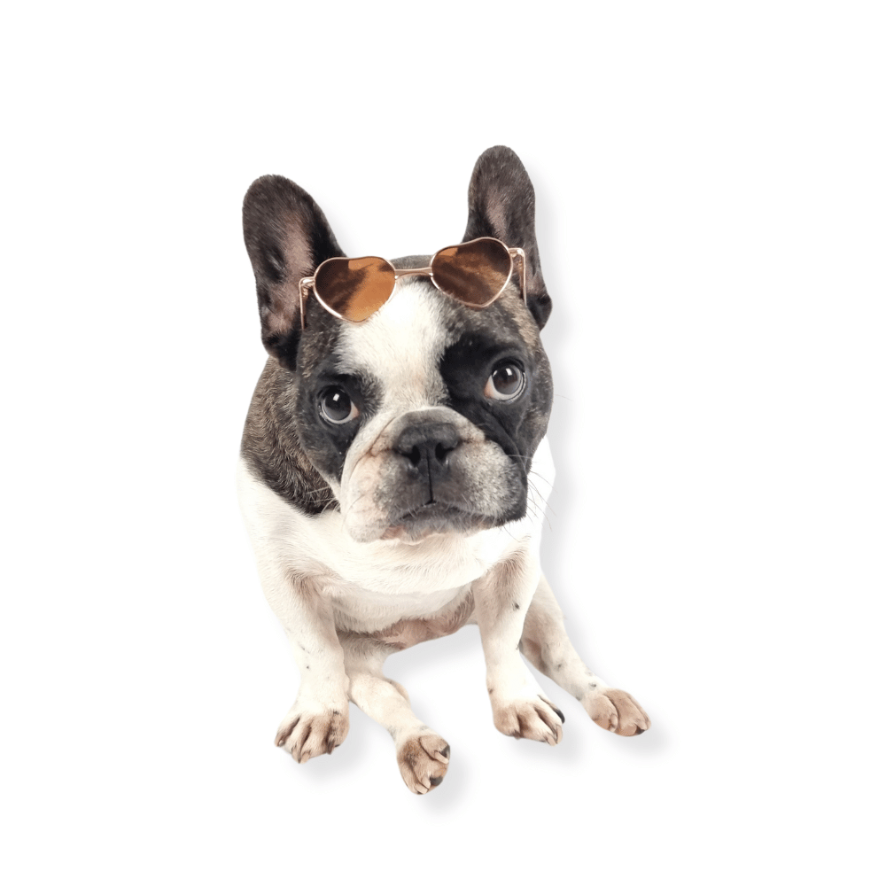 Love Heart Dog Sunglasses
